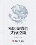 小说：光影交错的艾泽拉斯，作者：我爱叉姬