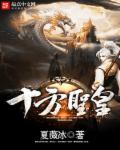 小说：十方圣皇，作者：夏薇冰