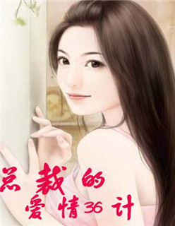 小说：总裁的爱情36计，作者：童洛洛