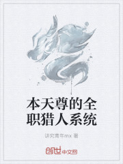 小说：本天尊的全职猎人系统，作者：讲究青年mx