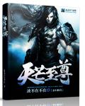 小说：天芒至尊，作者：波不在不在