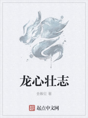小说：龙心壮志，作者：金毅征