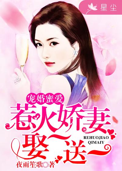 小说：宠婚蜜爱：惹火娇妻娶一送一，作者：夜雨笙歌