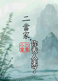 小说：二当家，你夫人来了，作者：小六当家