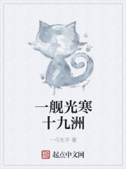 小说：一舰光寒十九洲，作者：一弓在手