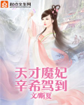 小说：天才魔妃辛希驾到，作者：断夏