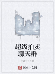 小说：超级拍卖聊天群，作者：风卷残云0