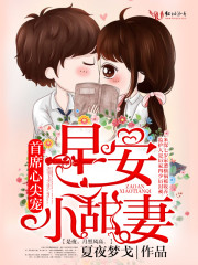 小说：厉少养妻实录，作者：夏夜梦戈
