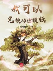 小说：我可以兑换功德模板，作者：天地有缺