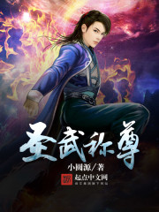 小说：圣武称尊，作者：小圆源