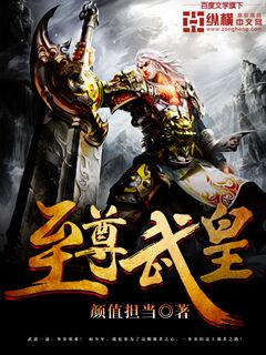 小说：至尊武皇，作者：颜值担当