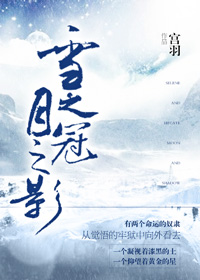 小说：雪之冠月之影[西幻]，作者：在下宫羽