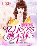 小说：情深婚切：亿万BOSS缠不休，作者：我东归