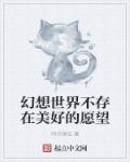 小说：幻想世界不存在美好的愿望，作者：阿尔蒂拉