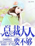 闪婚蜜爱:总裁大人要不够