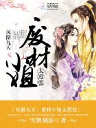 小说：凤傲九天：废柴小姐太嚣张，作者：雪舞刻影