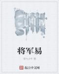 小说：将军易，作者：夜与少年