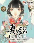 小说：妻锦，作者：初落夕