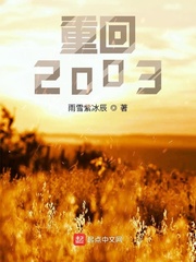 小说：重回2003，作者：雨雪紫冰辰