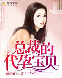 小说：总裁的代孕宝贝，作者：紫薯团子