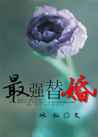 小说：最强替婚，作者：冰灿