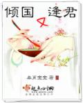 小说：倾国又逢君，作者：本肖宝宝