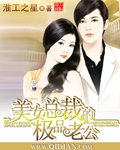 小说：美女总裁的极品老公，作者：淮工之星