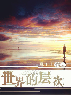 小说：世界的层次，作者：张土土