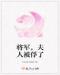 小说：将军，夫人被俘了，作者：胖娃胖嘟嘟