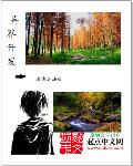 小说：异界开发，作者：埃德加法规
