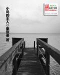 小说：小岛的主人，作者：秦衰老