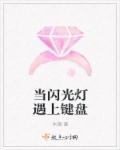 小说：当闪光灯遇上键盘，作者：沐旖