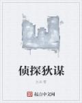 小说：侦探狄谋，作者：丛法
