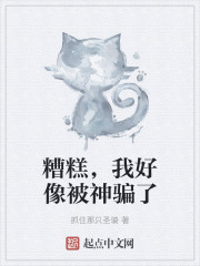 小说：糟糕，我好像被神骗了，作者：抓住那只圣骑