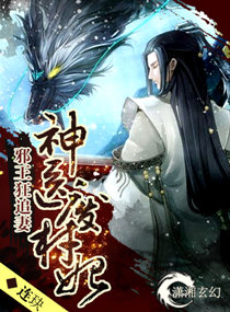小说：神医废材妃，作者：连玦