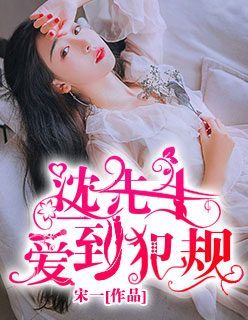 小说：沈先生，爱到犯规，作者：宋一