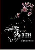 小说：二战悲歌：梦断莱茵河，作者：夜已深沉