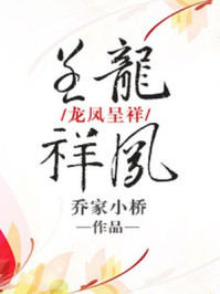 小说：龙凤呈祥，作者：乔家小桥