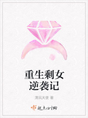 小说：重生剩女逆袭记，作者：清风天使