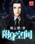 小说：附身空间，作者：舞云翼