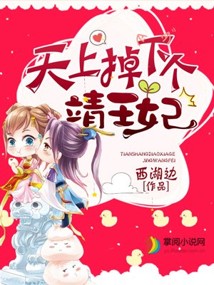 小说：天上掉下个靖王妃，作者：西湖边