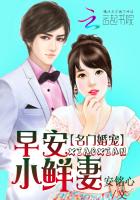 小说：名门婚宠：早安，小鲜妻，作者：安铭心