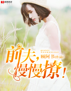 小说：前夫，慢慢撩！，作者：顾阿书