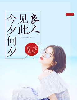 小说：今夕何夕，见此良人，作者：夏一念