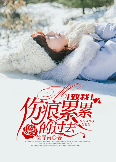 小说：致我伤痕累累的过去，作者：徐寻南