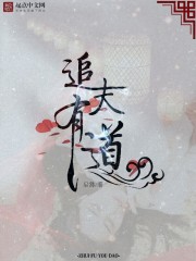 小说：追夫有道，作者：后为
