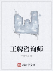 小说：王牌咨询师，作者：三清无水