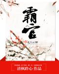 小说：霸官，作者：清枫聆心