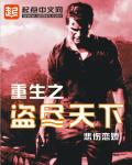 小说：重生之盗尽天下，作者：悲伤恋娇