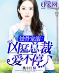 小说：蚀骨宠溺：凶猛总裁爱不停，作者：桃小红